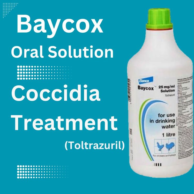 Baycox 2.5% Solution Coccidia Pigeon treatment (Toltrazuril) 200ml (To treat 50 pigeons)