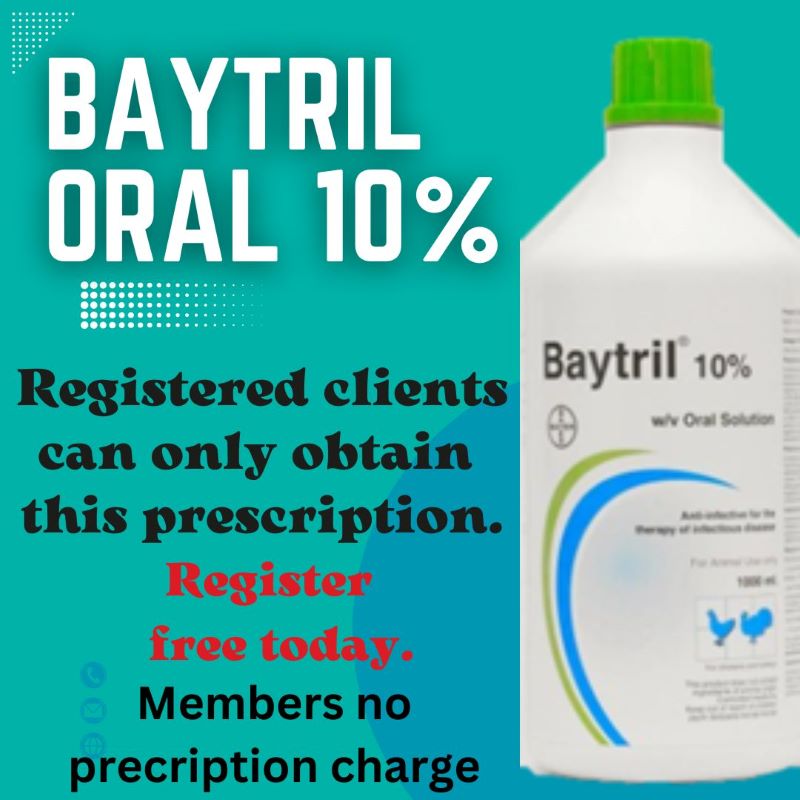 Baytril Oral Suspension 10% - to treat 50 Birds for 10 days 100ml