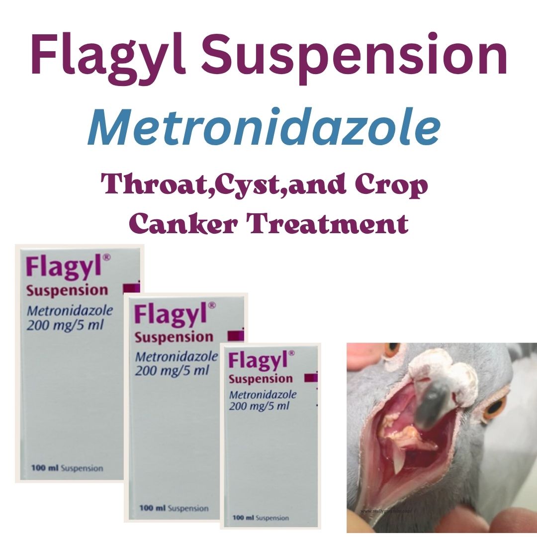 Canker Trichomonas up to 75 bird treatment