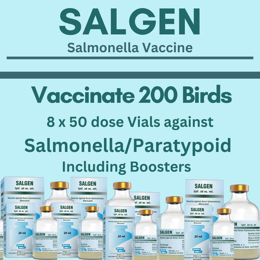 Vaccin contre la salmonelle Salgen (vacciner 200 oiseaux)