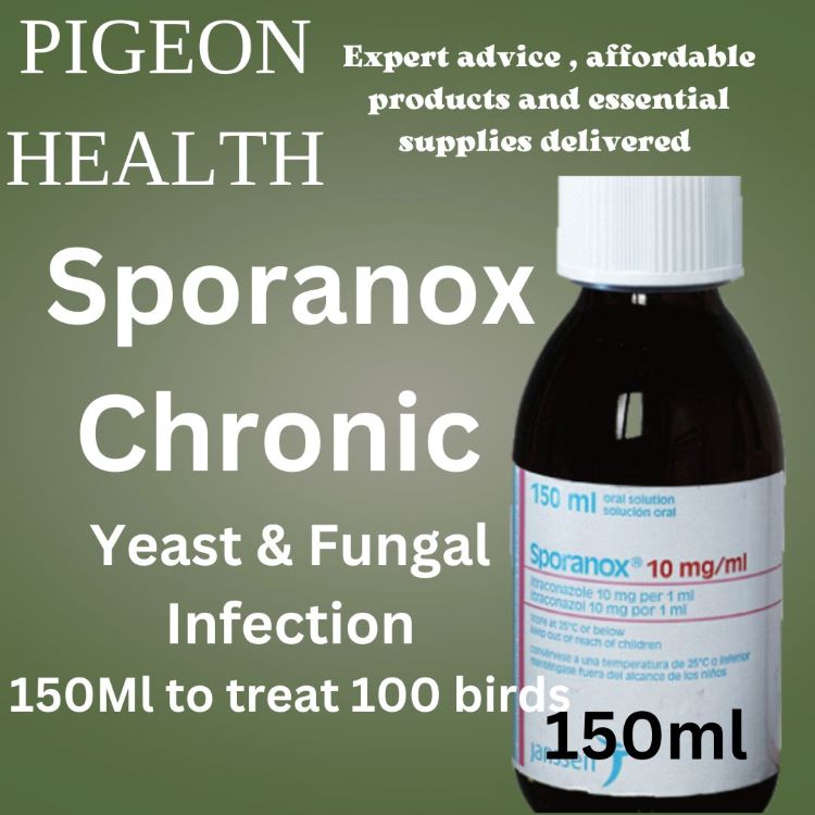 Fungal and Yeast antifungal antibiotic