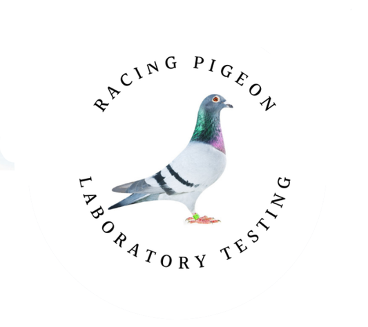 Common Infectious Diseases in Racing Pigeons: Laboratory Testing and Information