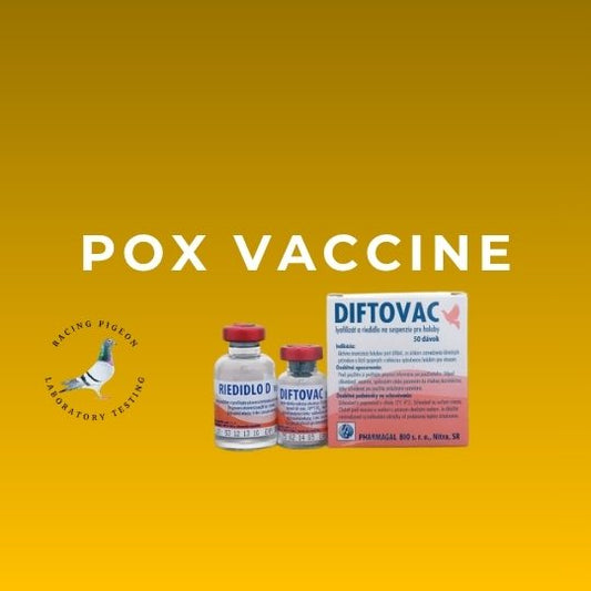Diftovac POX VACCINE . Racing Pigeon Laboratory Testing