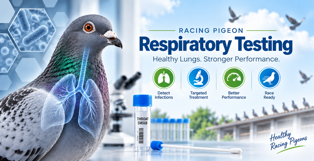Respiratory Health and Race Performance