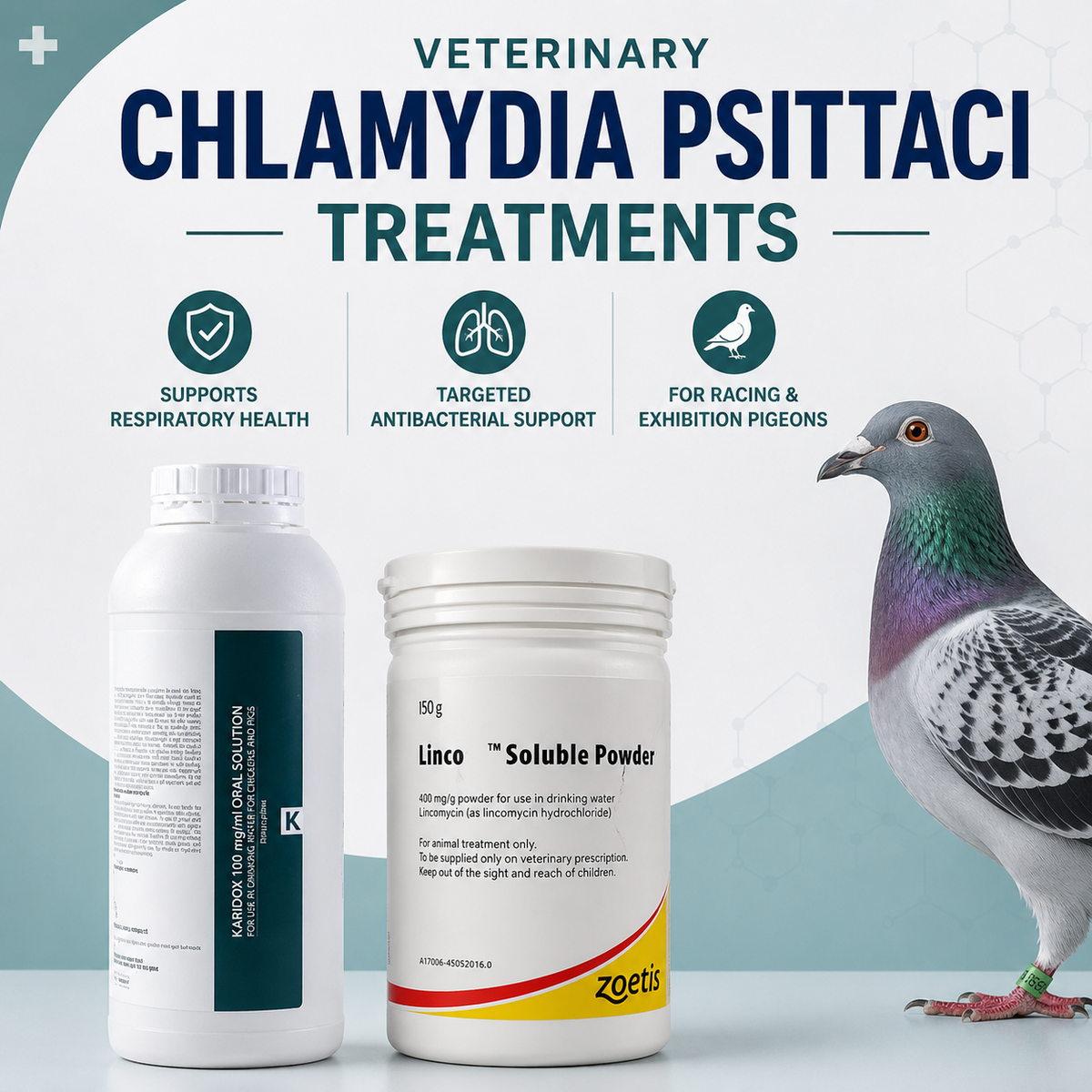 Veterinary  Chlamydia psittaci, Treatments