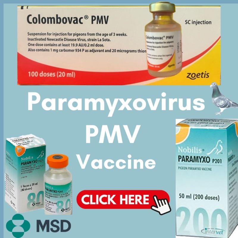 Colombovac PMV and Nobilis PMV.