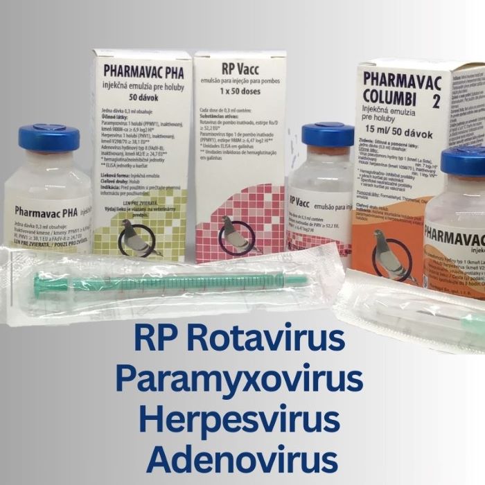 RP Rotavirus Vaccine , Herpesvirus Vaccine,Adenovirus Vaccine, PMV Vaccine