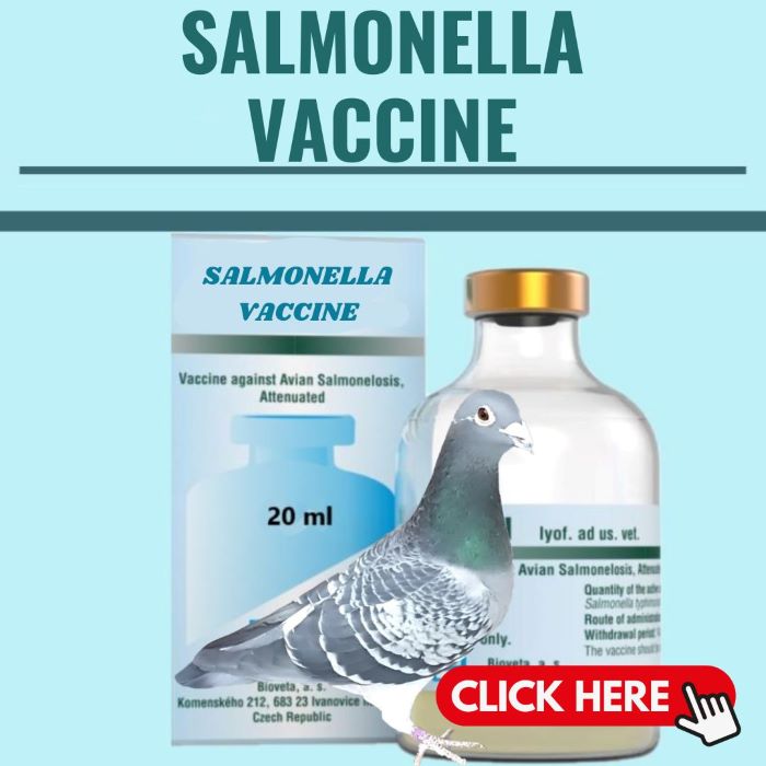 Salmonella/Paratyphoid Vaccines