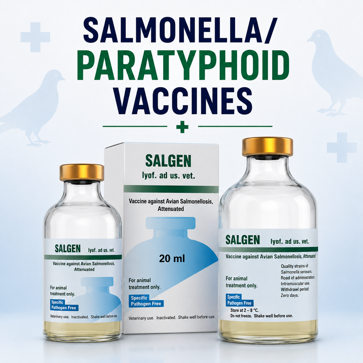 Salmonella/Paratyphoid Vaccines