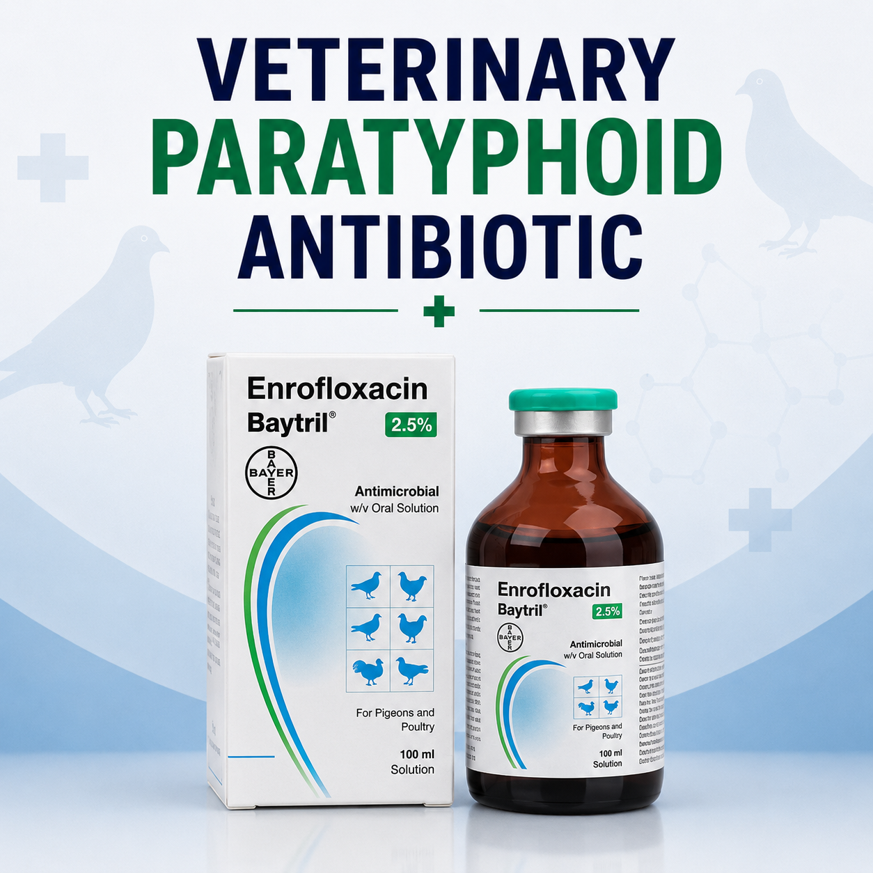 Veterinary Paratyphoid Antibiotic