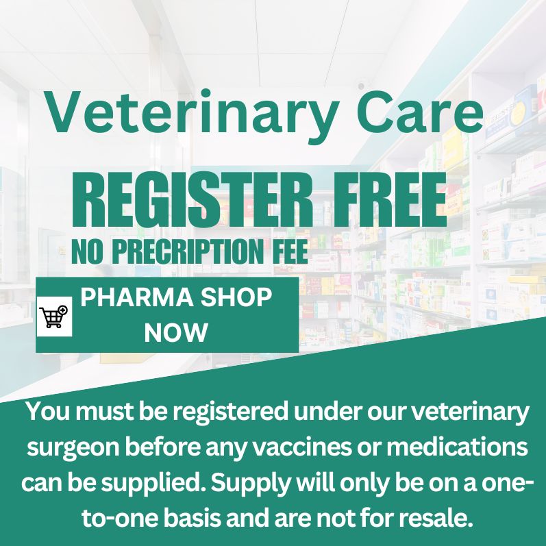 Veterinary Care Treatments