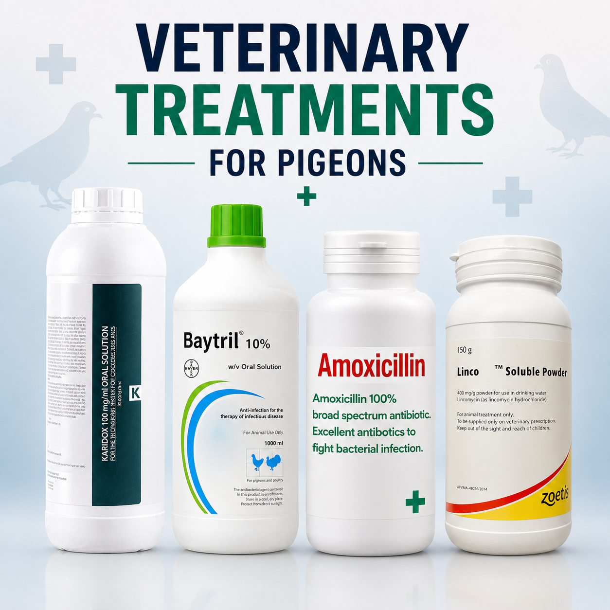Veterinary Treatments for pigeons