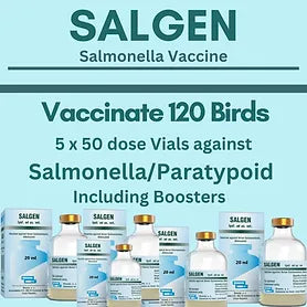 Salgen Salmonella Vaccine  (Vaccinate 120 birds)