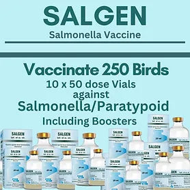 Salgen Salmonella Vaccine(Vaccinate 250 birds)