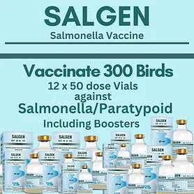 Salgen Salmonella Vaccine  (Vaccinate 300 birds)