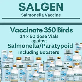 Salgen Salmonella Vaccine  (Vaccinate 350 birds)