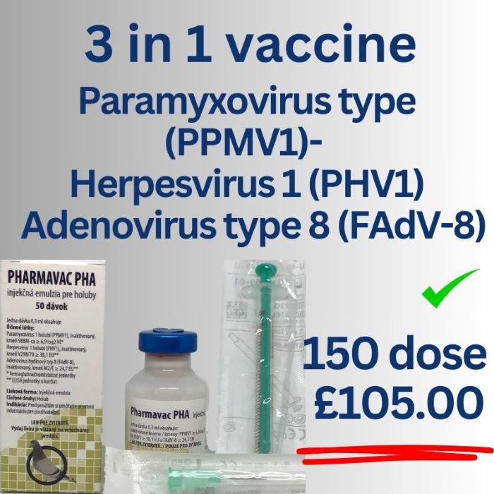 Pigeon Herpesvirus 1 (PHV1) - Pigeon Herpesvirus 1 (PHV1) - Adenovirus type 8 (FAdV-8)