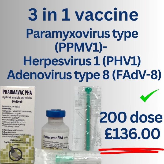 Pigeon Paramyxovirus  type 1 (PMV1) - Pigeon Herpesvirus 1 (PHV1) - Adenovirus type 8 (FAdV-8)