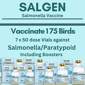 Salgen Salmonella Vaccine  (Vaccinate 175 birds)