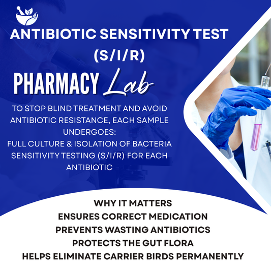 Antibiotika-Empfindlichkeitstest für Brieftauben, auch bekannt als Bakterienkultur- und Empfindlichkeitstest 