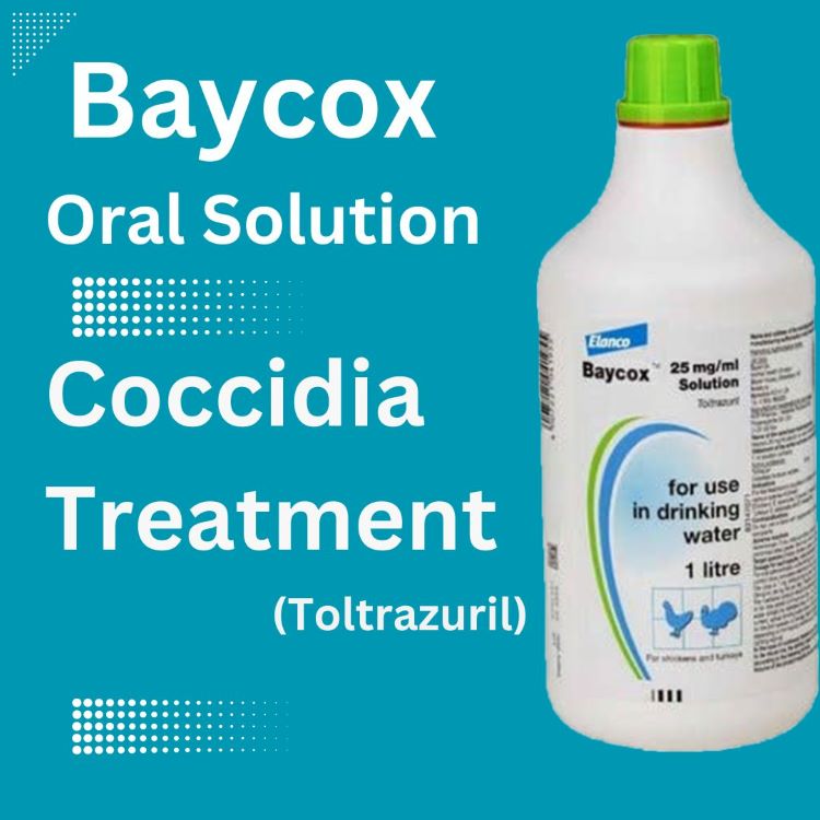 Baycox 2.5% Solution  Coccidia Pigeon treatment (Toltrazuril) 500 ml (To treat 100 pigeons)