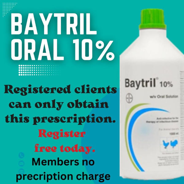 Baytril Oral Suspension 10% - to treat 100 Birds for 10 days – Racing ...