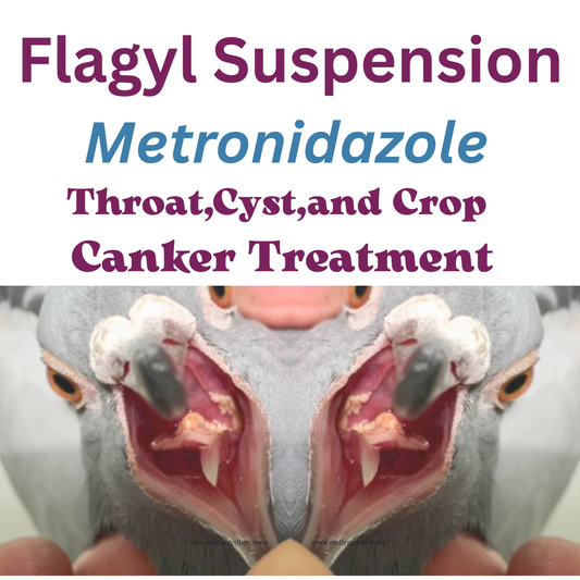 Canker Trichomonas Behandlung für bis zu 100 Vögel