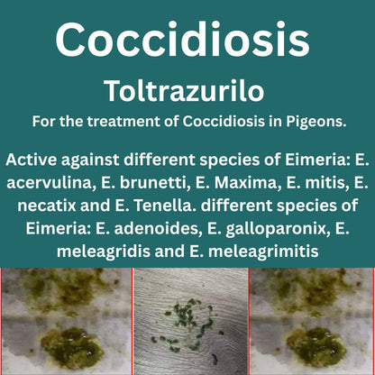 Coccidiosis  Espacox Toltrazurilo to treat  75 Birds (150ml)