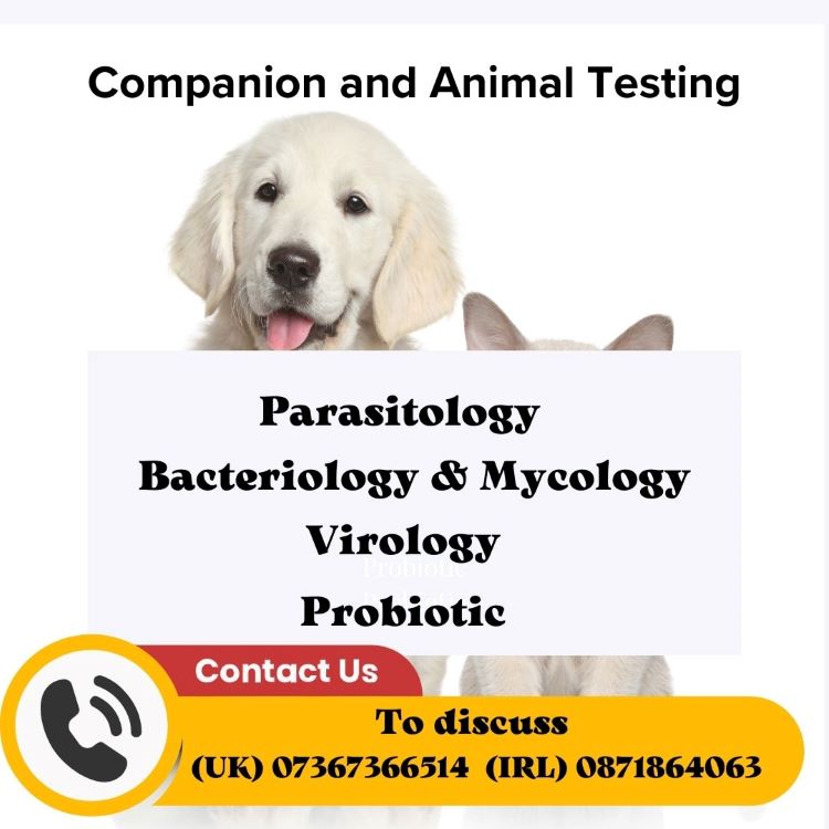 Companion and Animal Testing