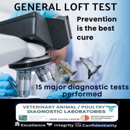 General Loft Test (Advanced Diagnostic Laboratory Test)