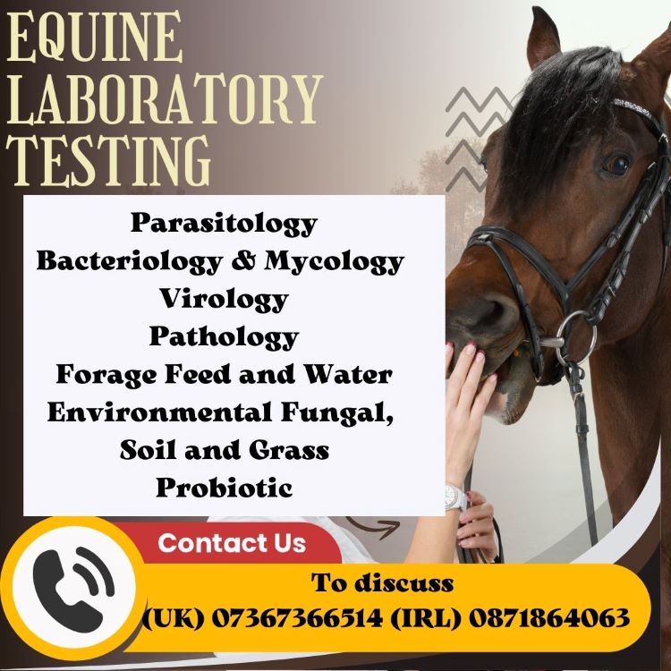 Equine Lab Equine Laboratory Testing – Racing Pigeon Laboratory Testing