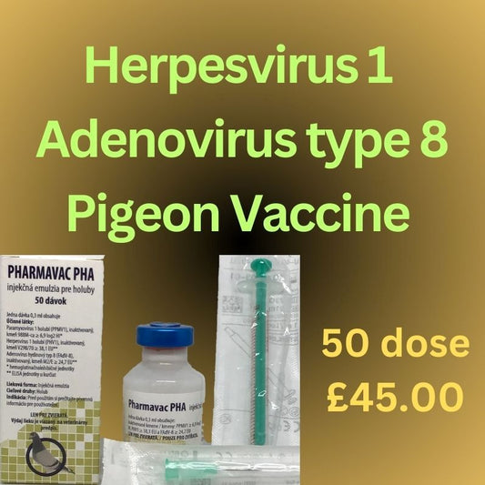 Herpesvirus 1 (PHV1)- Adenovirus type 8 -Paramyxovirus type 1- Pigeons