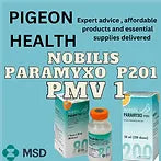 Nobilis PMV 80 dose . Expiry 04-2027