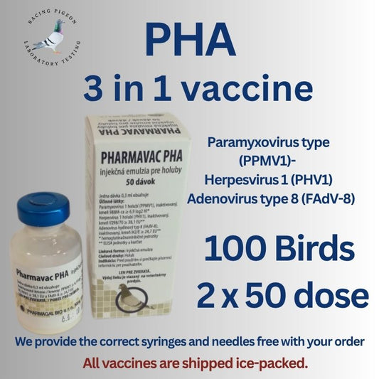 Paramyxovirus du pigeon de type 1 (PMV1) - Herpèsvirus du pigeon de type 1 (PHV1) - Adénovirus de type 8 (FAdV-8)