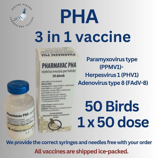 Paramyxovirus du pigeon de type 1 (PMV1) - Herpèsvirus du pigeon de type 1 (PHV1) - Adénovirus de type 8 (FAdV-8)