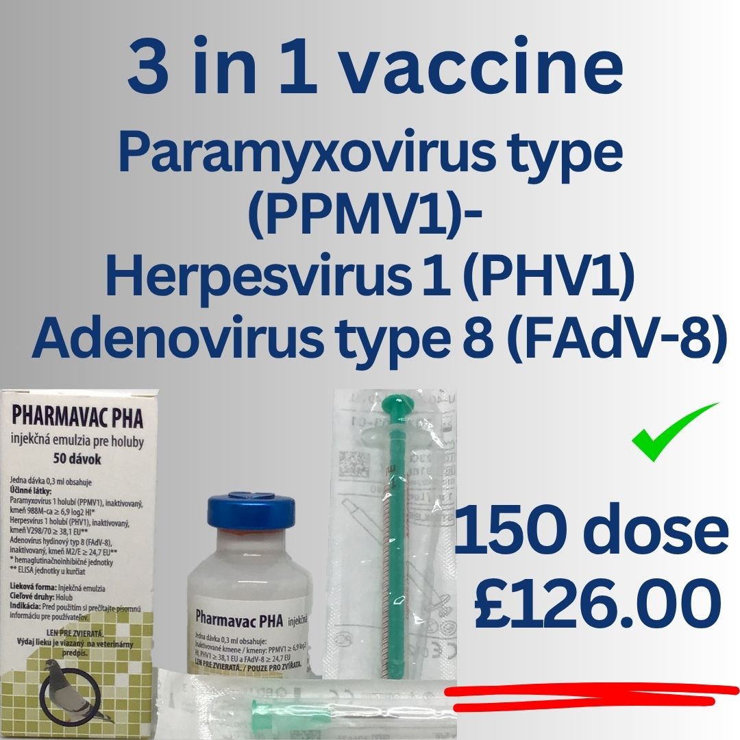 Pigeon Paramyxovirus  type 1 (PMV1) - Pigeon Herpesvirus 1 (PHV1) - Adenovirus type 8 (FAdV-8)