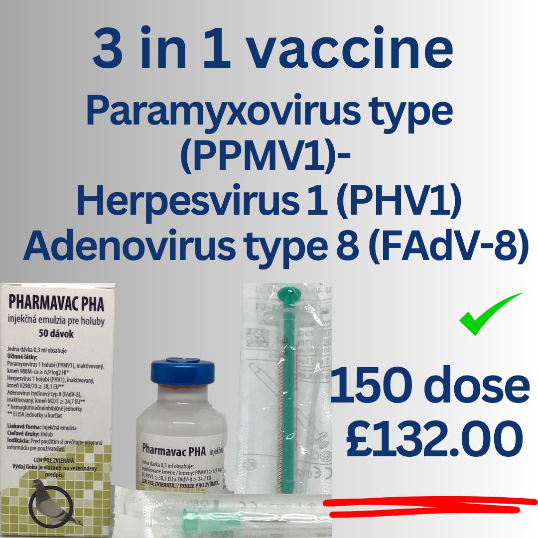 Pigeon Paramyxovirus  type 1 (PMV1) - Pigeon Herpesvirus 1 (PHV1) - Adenovirus type 8 (FAdV-8)