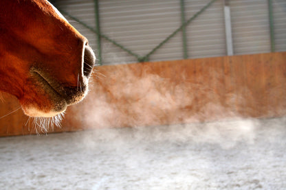 Equine Laboratory Testing