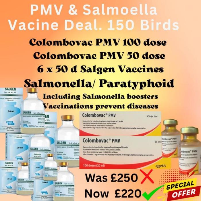 Super PMV & Salmonella  Vaccine deal to treat 150 Birds