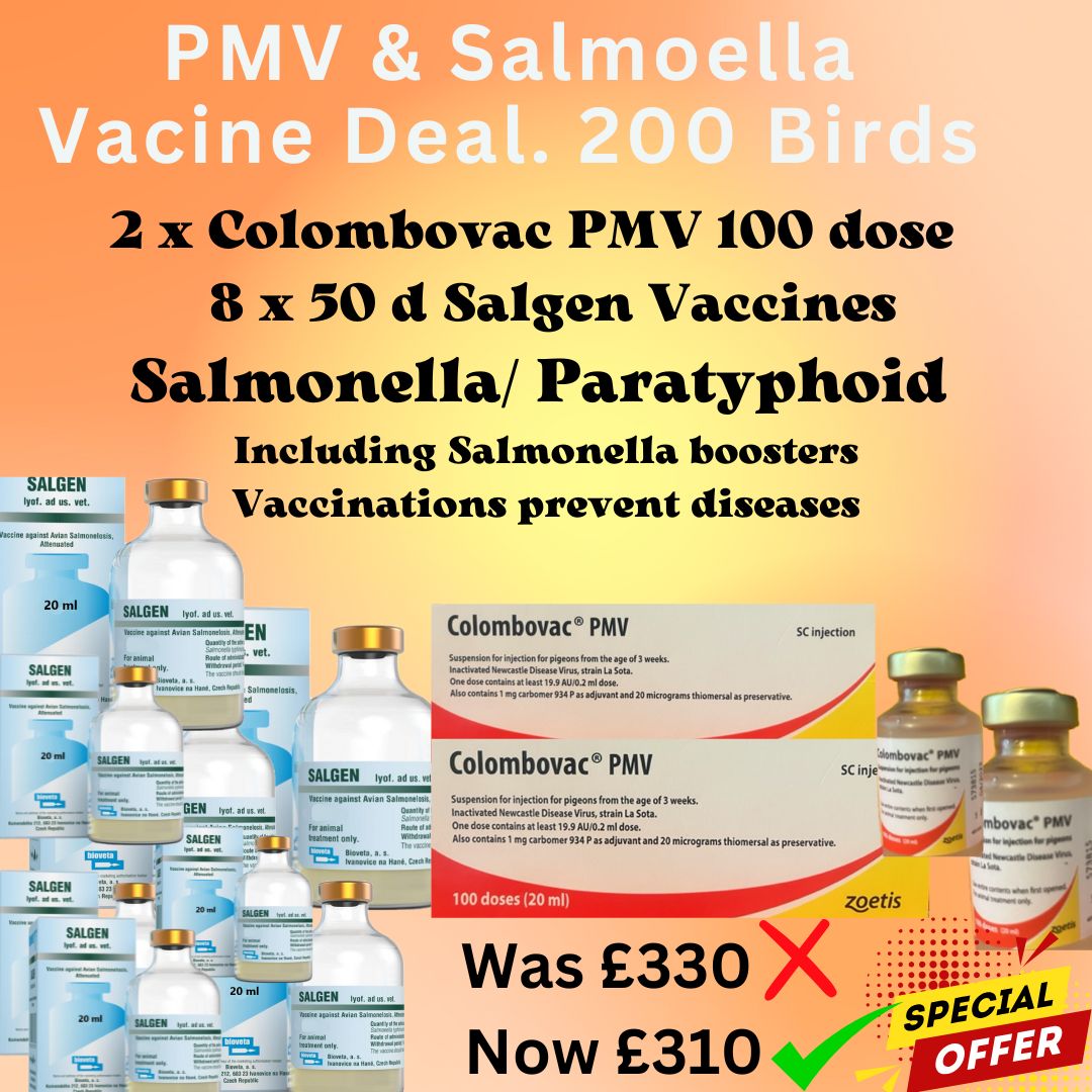 Pack de vaccins Colombovac 200 doses et 8 x 50 doses contre la salmonelle, avec rappels