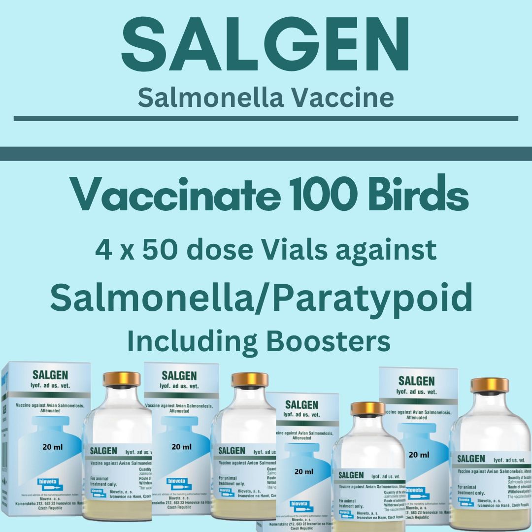 Salgen Salgen Salmonella Vaccine (Vaccinate 100 birds) – Racing Pigeon ...