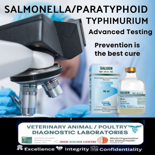 Salmonella-Paratyphoid Typhimurium Test, by Racing Pigeon Laboratory Testing .com