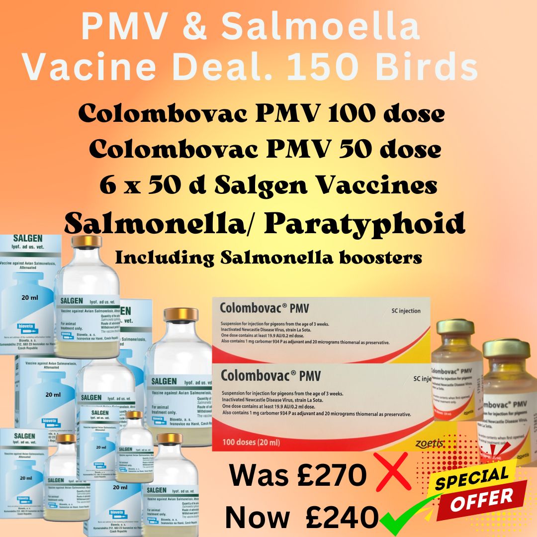 Accord sur le vaccin Super PMV et Salmonella pour traiter 150 oiseaux