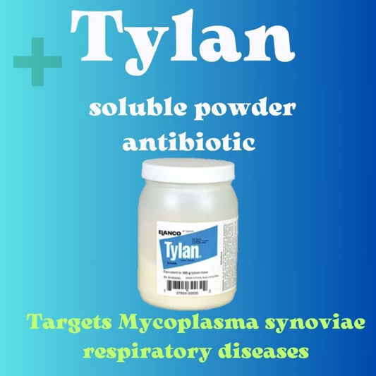 To treat 100 pigeons Tylan Antibiotic  targets Mycoplasma synoviae respiratory diseases.