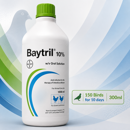 Baytril Suspension zum Einnehmen 10 % – zur Behandlung von 100 Vögeln für 10 Tage, 250 ml 