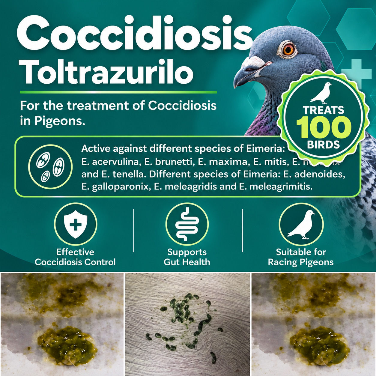Coccidiosis Espacox Toltrazurilo to treat  100 Birds  (200ml)