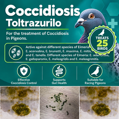 Coccidiosis  Espacox Toltrazurilo to treat  25 Birds (50ml)