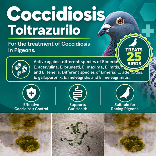 Coccidiosis  Espacox Toltrazurilo to treat  25 Birds (50ml)