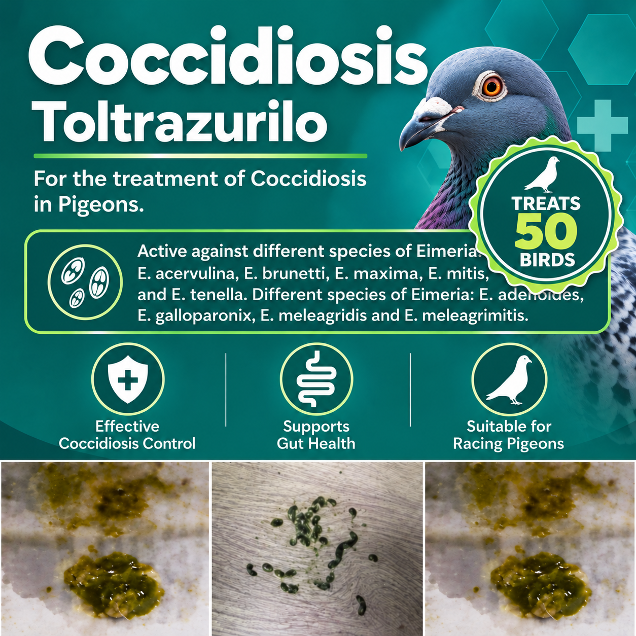 Coccidiosis  Espacox Toltrazurilo to treat  75 Birds (150ml)