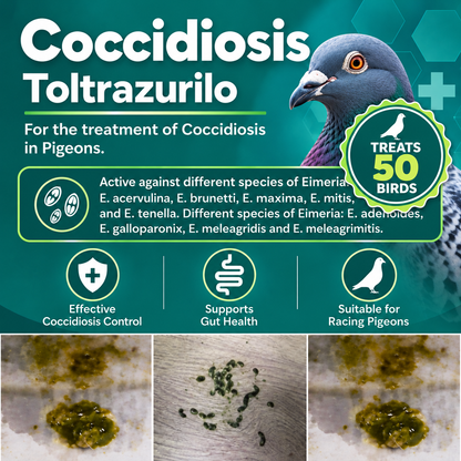Coccidiosis  Espacox Toltrazurilo to treat  75 Birds (150ml)